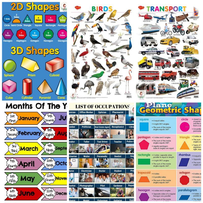 Educational Laminated Wall Chart A4 Size Batch 2 BeeCost