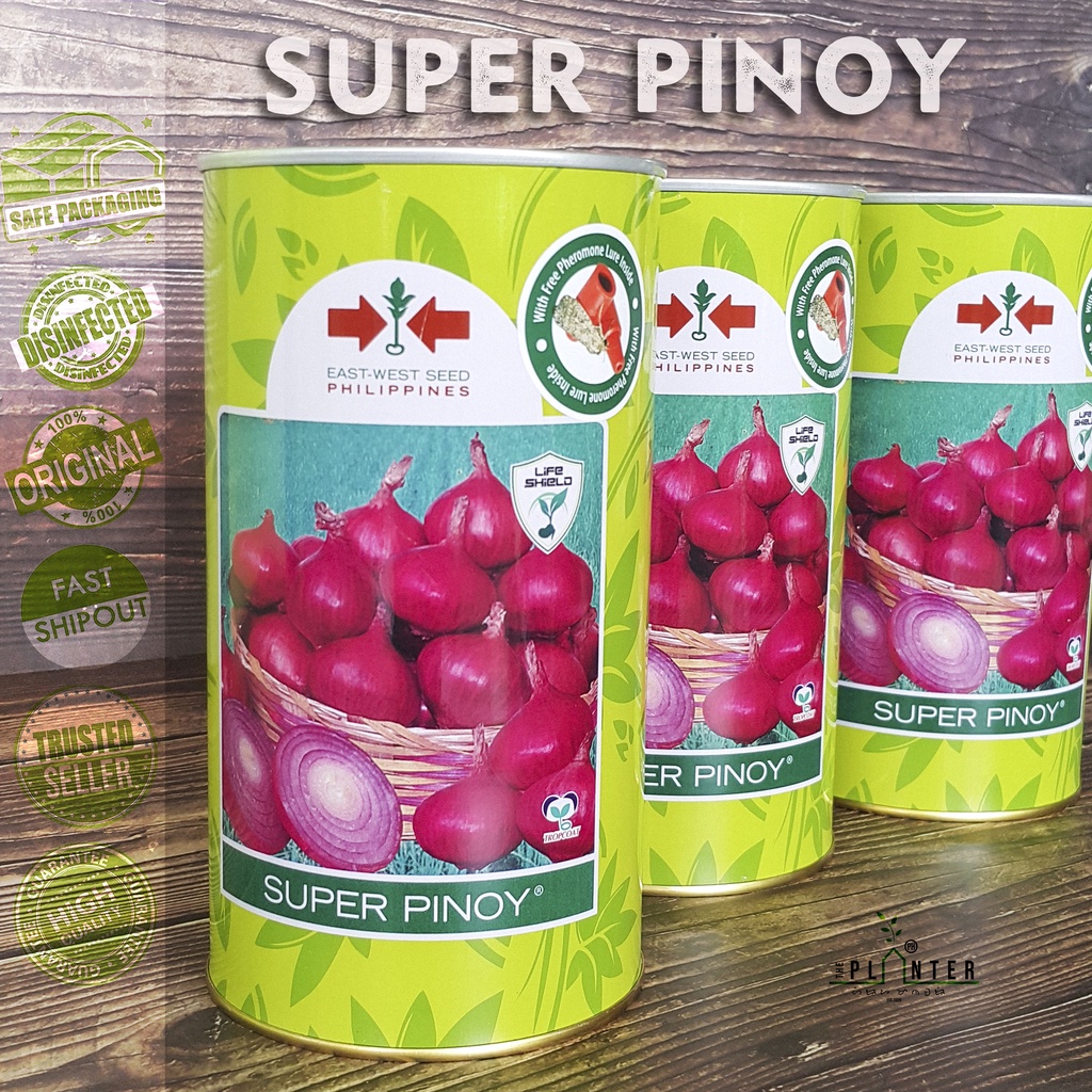 SALE SUPER PINOY VARIETY ONION SEEDS 400g EAST WEST SEED