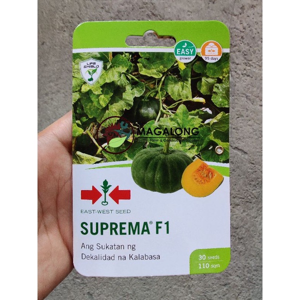 East West Seeds Kalabasa Seeds Suprema F Hybrid Seeds Shopee