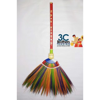 Rainbow Colorful Baguio Walis Tambo Soft Broom Shopee Philippines