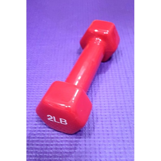 Vinyl Dumbbell Lbs Per Piece Shopee Philippines