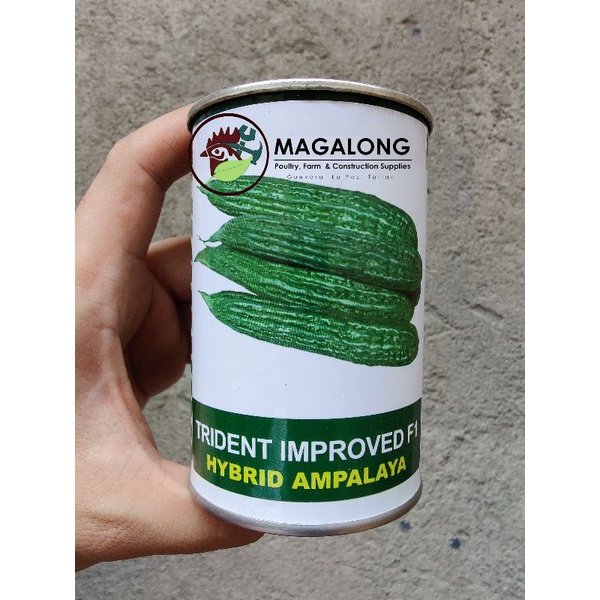 CONDOR SEEDS AMPALAYA SEEDS TRIDENT F1 HYBRID 50 Grams Shopee