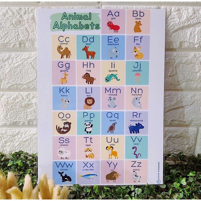 Alphabets Educational Chart A Size Shopee Philippines