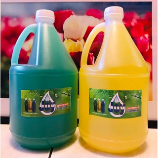 Dishwashing Liquid GALLON 3 5 Liters Shopee Philippines