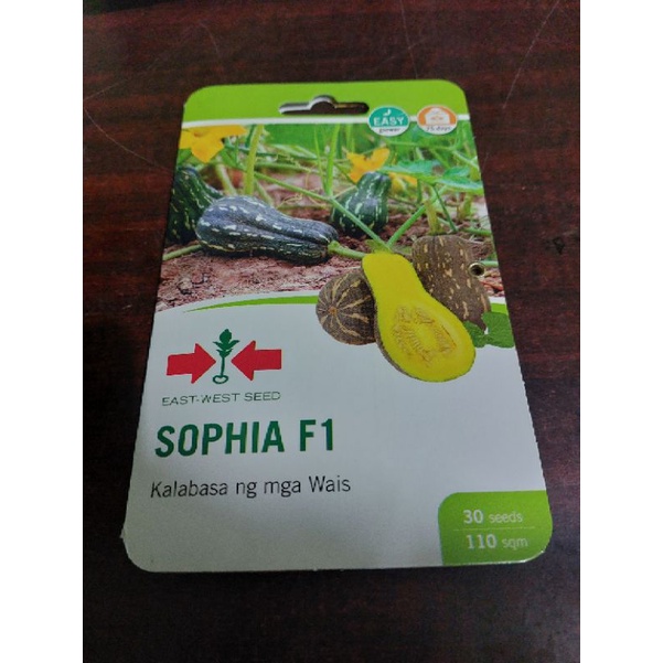 Sophia F Seeds Hybrid Butterhead Squash Kalabasa By East West