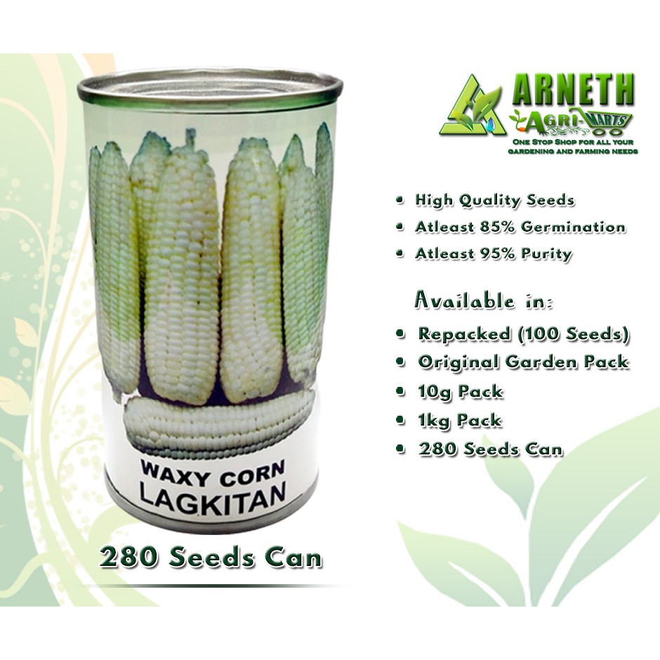 Waxy Corn Lagkitan Seeds By Condor Small Can Seeds Shopee