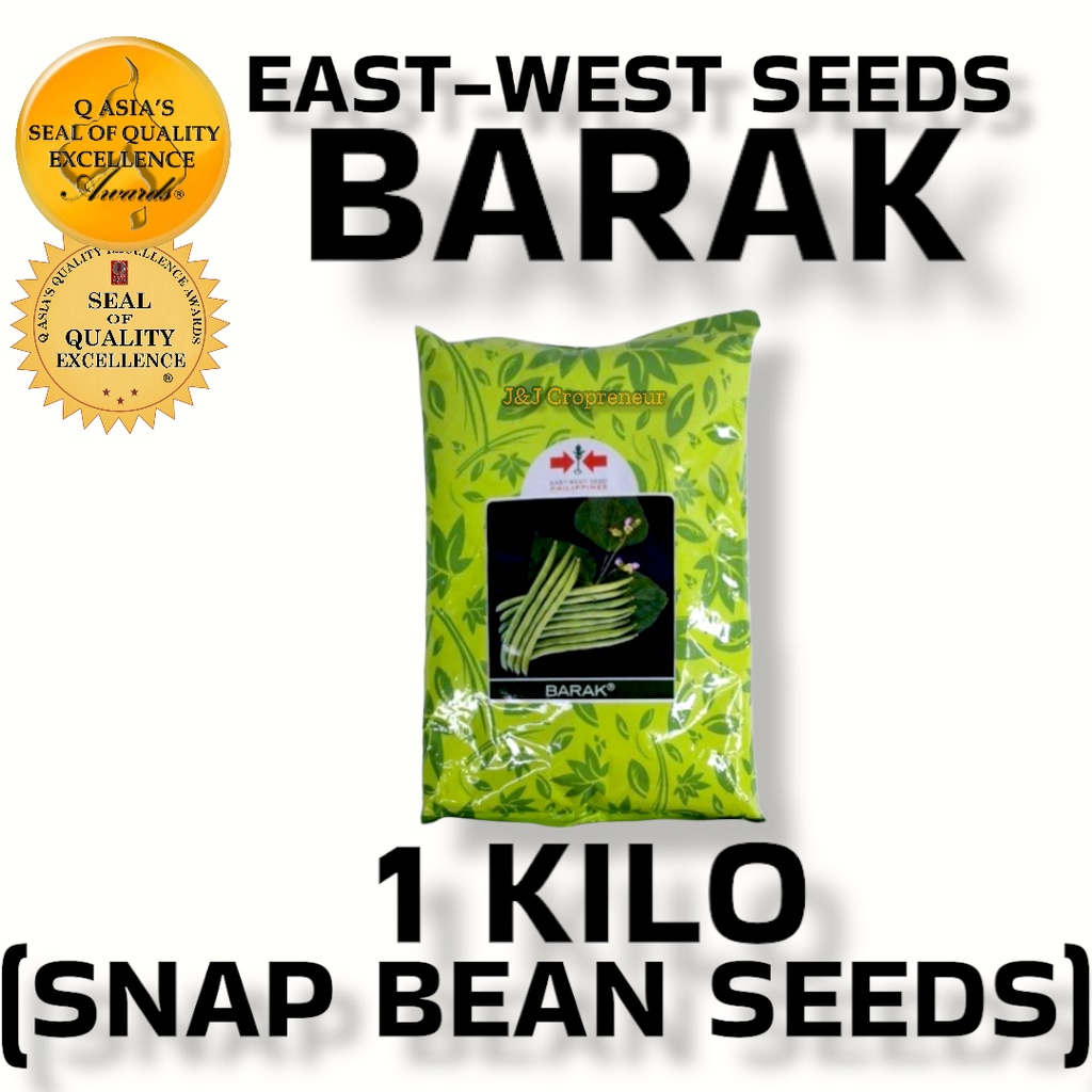 Barak Snap Beans Kilo Baguio Beans Seeds By East West Seeds Shopee