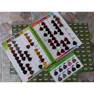 ASH BLONDE Bremod Hair Color With Oxidizer Set Shopee Philippines