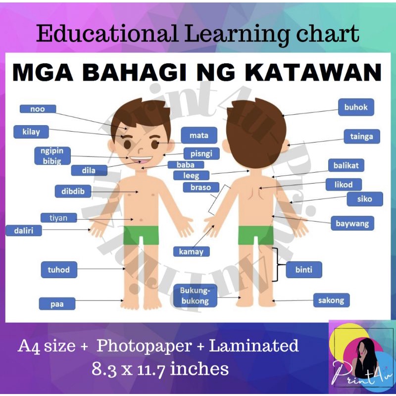 Parts Of The Body Educational Chart Mga Bahagi Ng Kat Vrogue Co