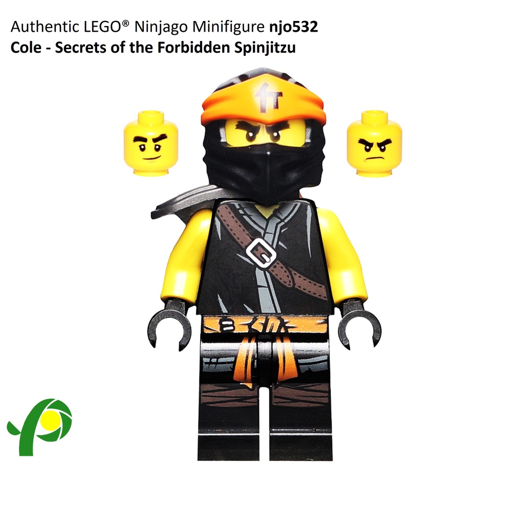 LEGO Ninjago Minifigure Njo532 Cole Secrets Of The Forbidden