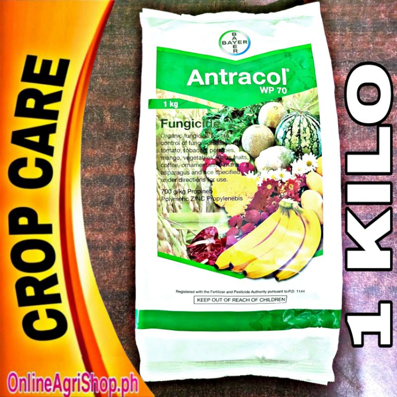 ANTRACOL WP 70 PROPINEB FUNGICIDE 1 KILO BAYER Shopee Philippines