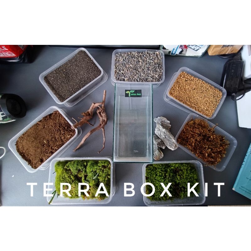 TERRA BOX TERRARIUM KIT Shopee Philippines