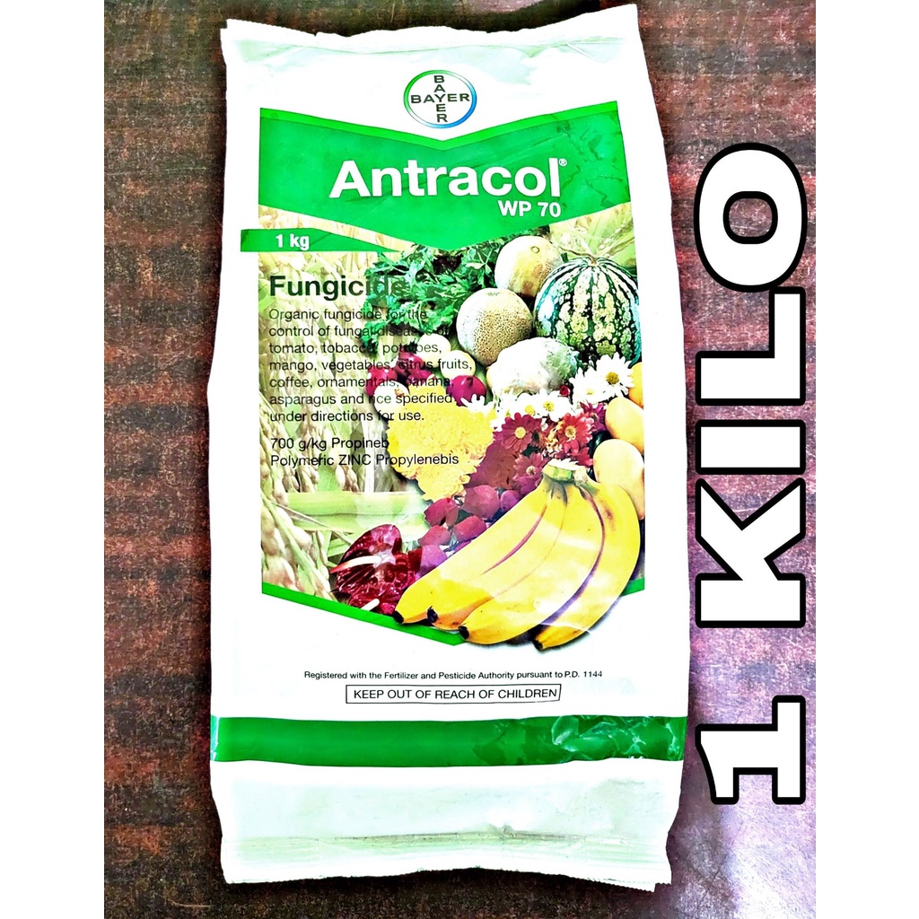 ANTRACOL WP 70 PROPINEB FUNGICIDE 1 KILO BAYER Shopee Philippines