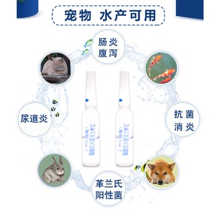 Intestinal Diarrhea Antibacterial Anti-Inflammatory Inflammation Veterinary Medicine Pets Cats Dogs Oral #8