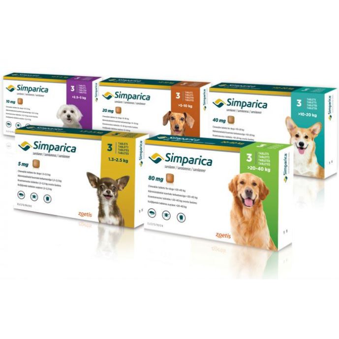 memory elephant sewing pattern