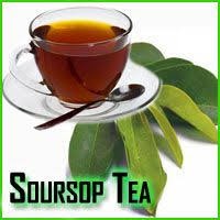 Guyabano Soursop Tea 80g Shopee Philippines