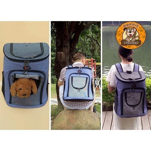 cat travel backpack