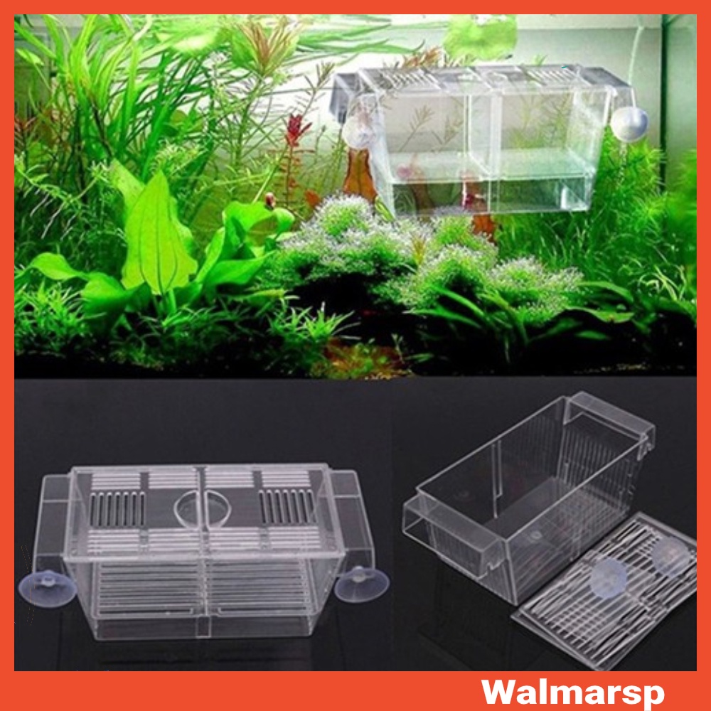 Aquarium Fish Tank Guppy Double Breeding Breeder Rearing Trap Box ...