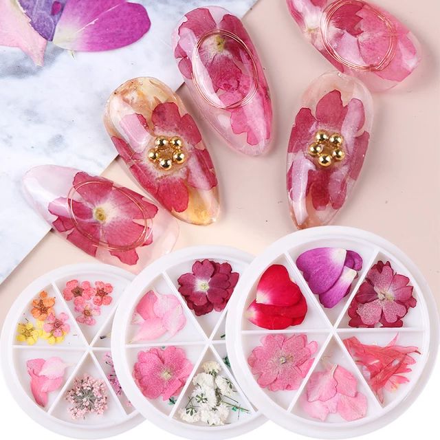 Real Dried Flowers Plate Nail Art Decoration Shopee Philippines