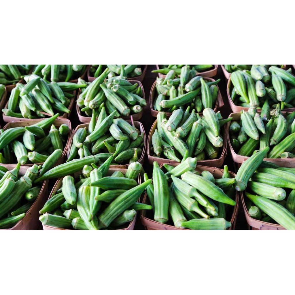 Okra (Vegetable) Shopee Philippines