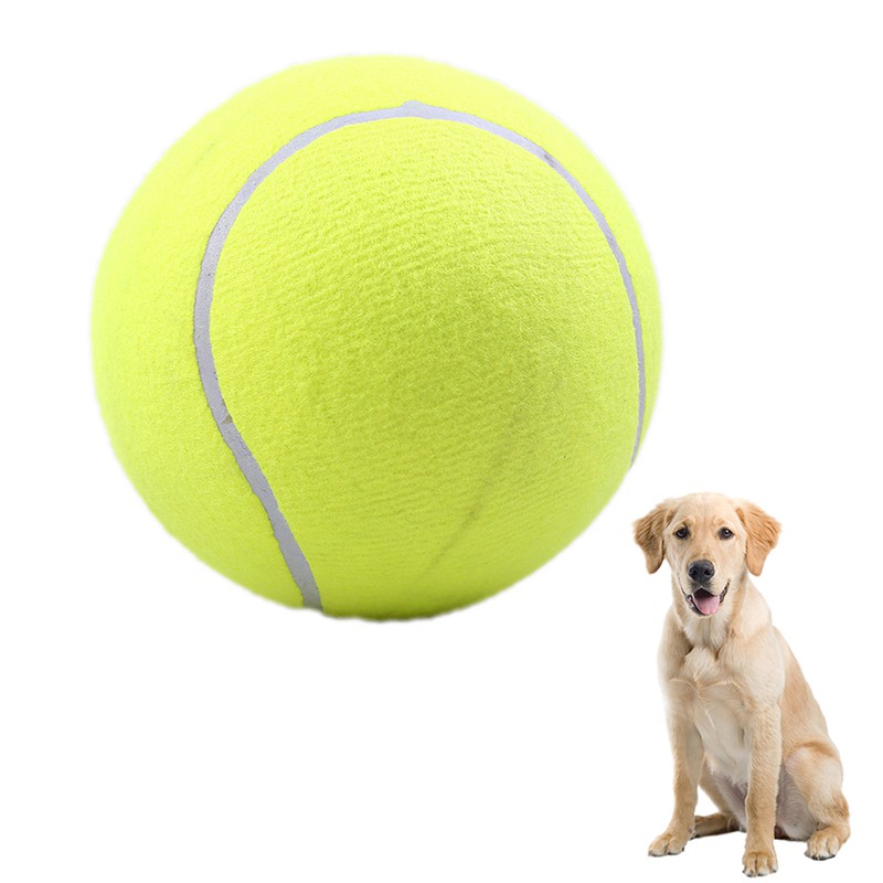 tennis ball dog toy