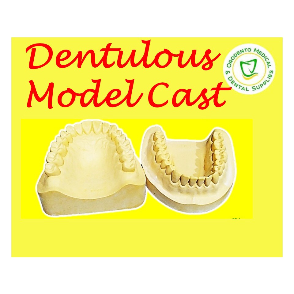Orodento Dental Dentulous Model Cast Upper and Lower Set | Shopee  Philippines