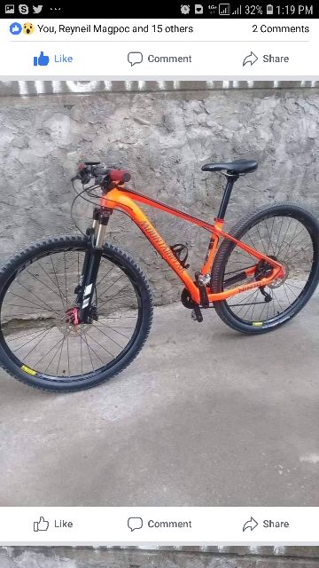 mountain peak mtb