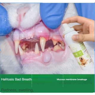 Cat stomatitis spray pet cat drooling gum red swelling oral anti-inflammatory spray dog anti-halitosis dental calculus medicine