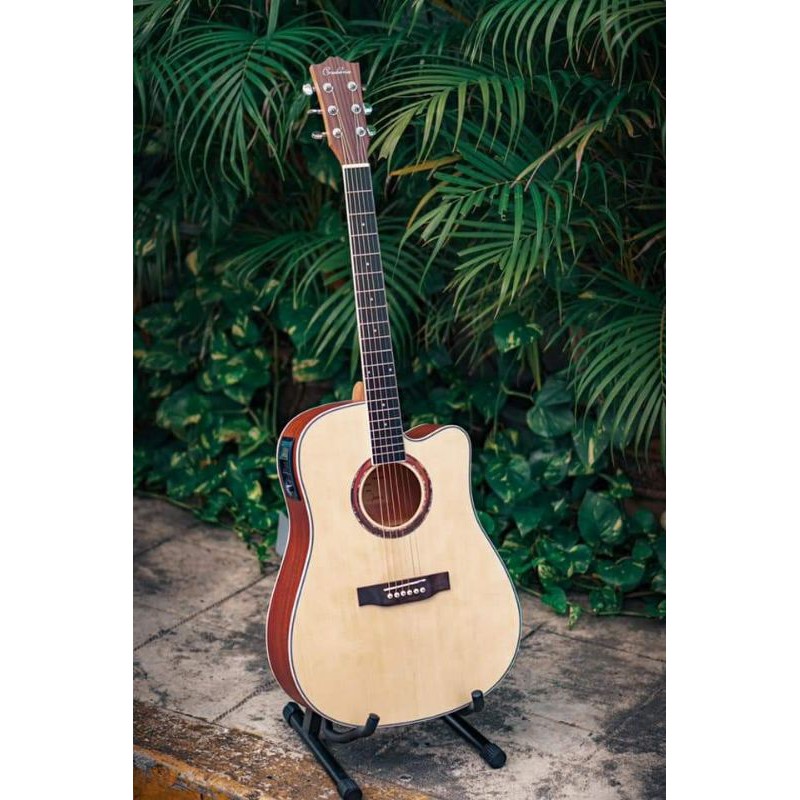 Cranberries 4141 41'Inches Acoustic Guitar With Builtin 5 Way