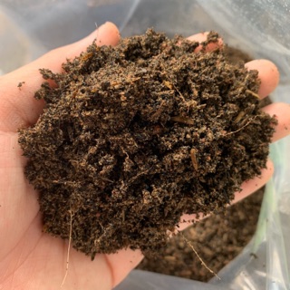 Organic soil all purpose seedling compost potting mix 1 kg ...