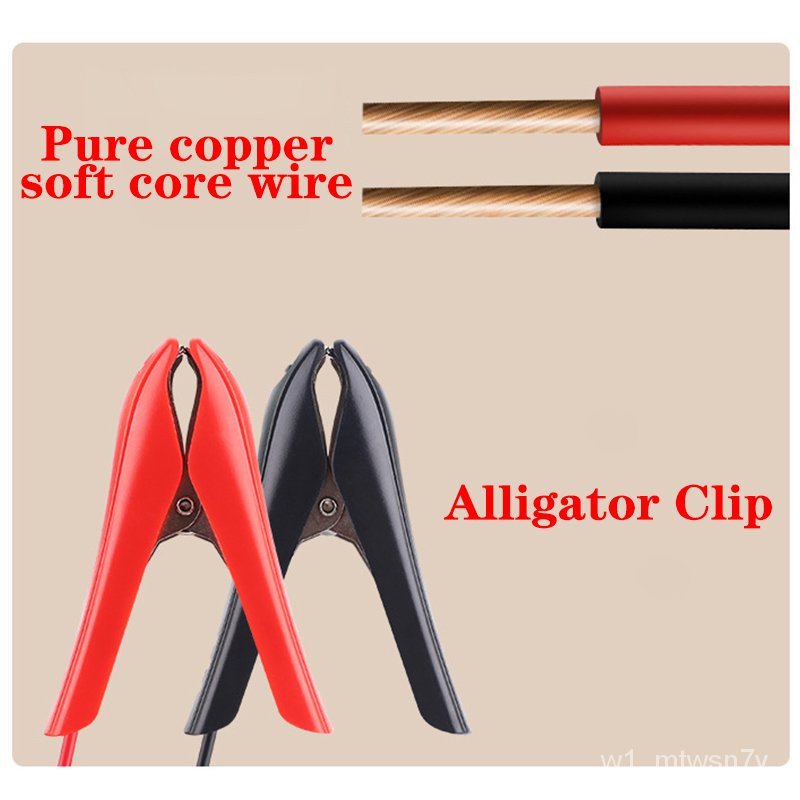 karizma battery charger price