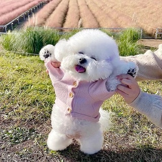 Autumn Winter New Style Soft Sweater Pet Clothes Teddy Bichon Poodle Maltese Schnauzer Small Dog Puppies Cat #1