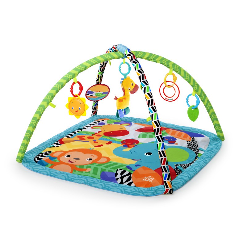 bright starts zippy zoo activity gym