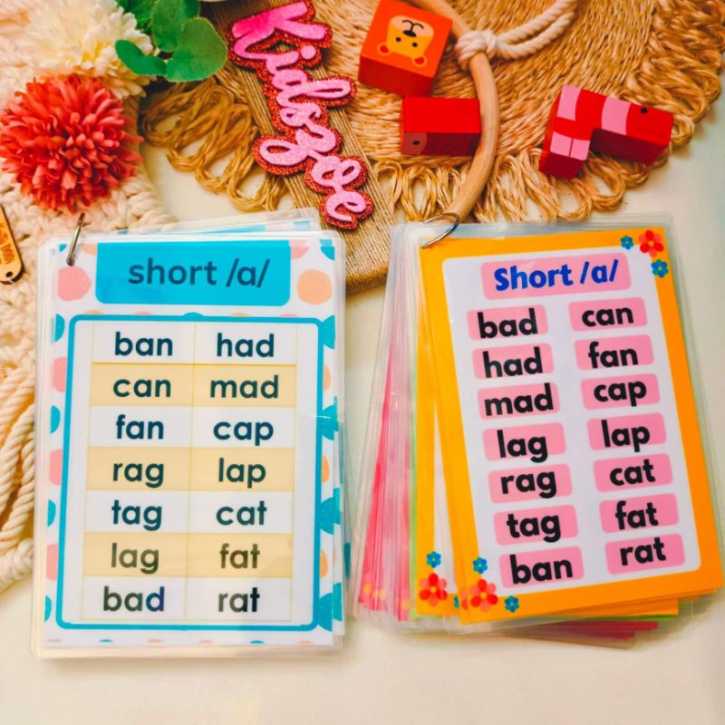 2-letter-words-and-cvc-word-family-vocabulary-cards-short-vowels-long