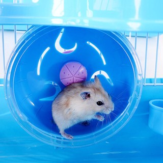 luxury hamster palace