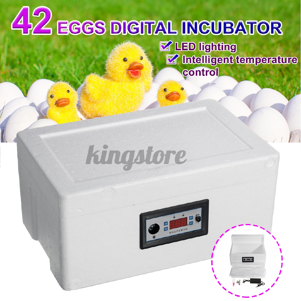 Egg Incubator water bed incubator automatic small household water bed ...