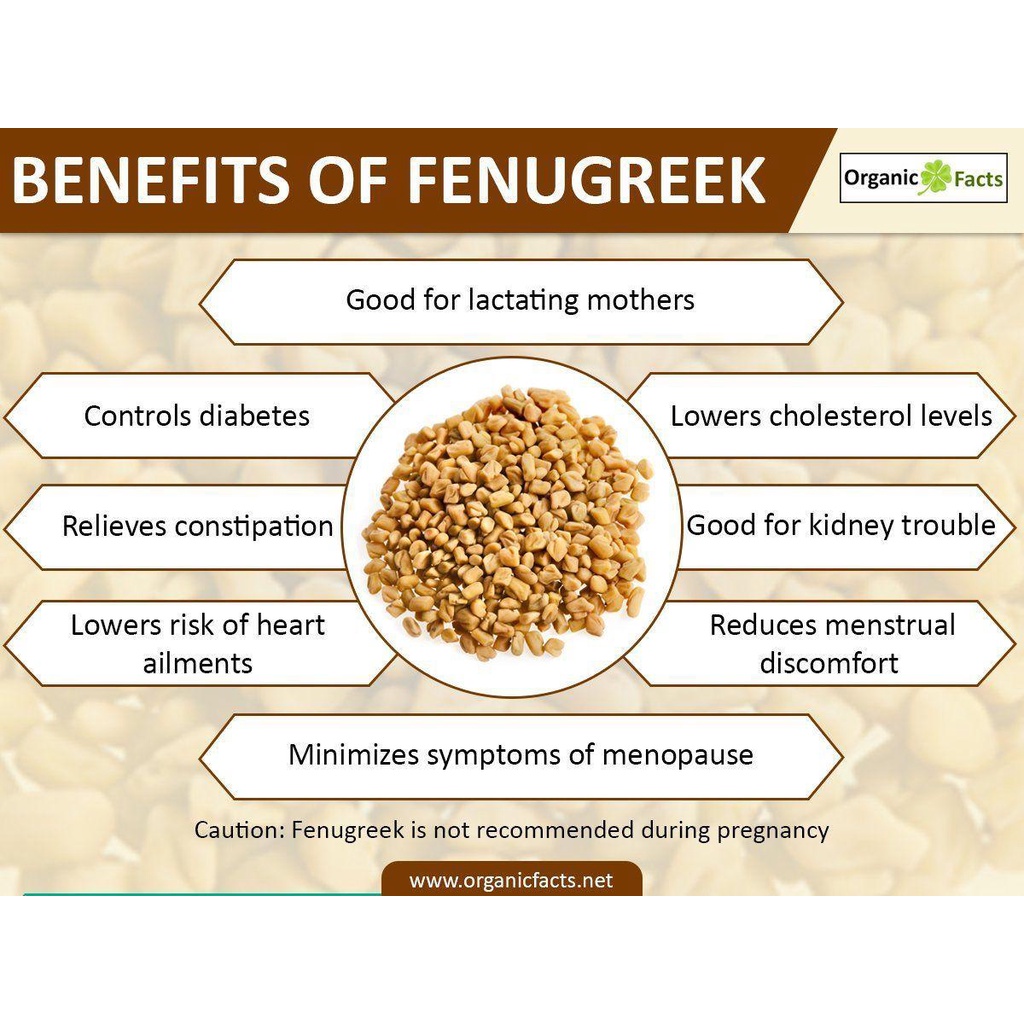 Cooking Fenugreek Seeds Powder (Ready to Use) - 250 g LACTATION AID ...