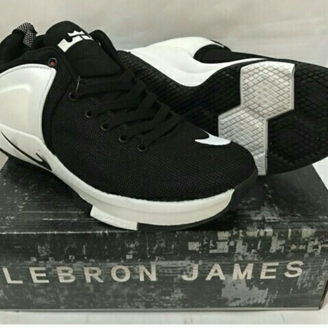 lebron nike zoom