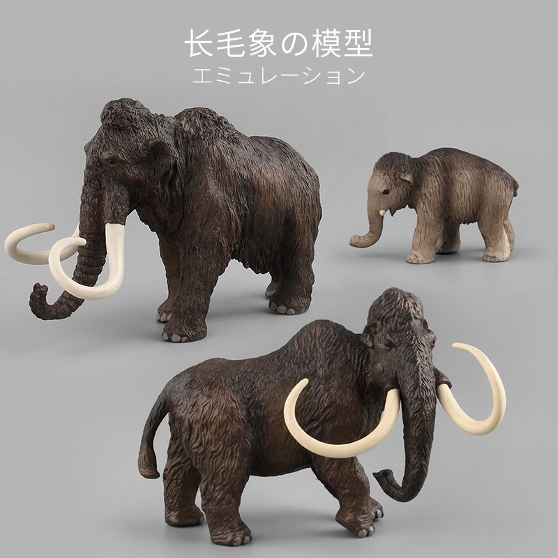 animal model kits