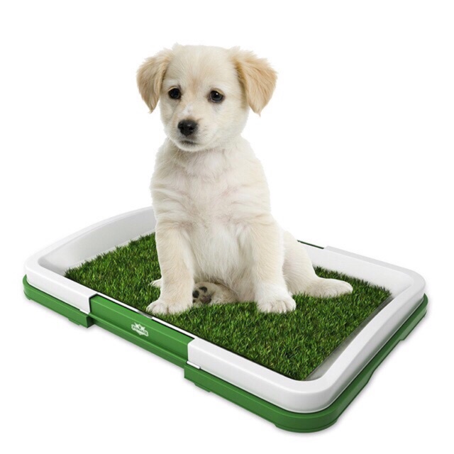Puppy Potty Pad Pooping Pad Poop Training Potty Pad Pet Indoor Toilet Easy Clean Hygenic