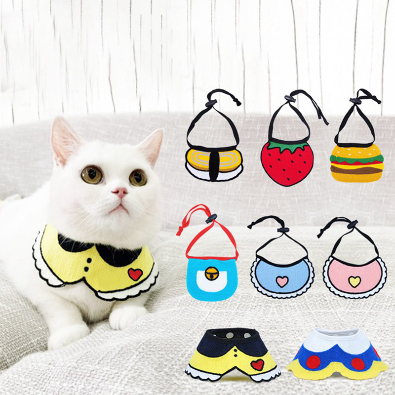 cat and dog accessories