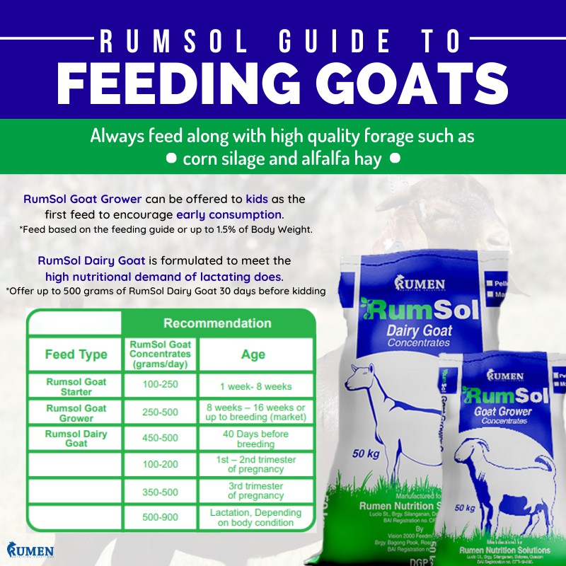 Rumsol Feeds Grower, Dairy for Sheep, Goat, Cattle 50kg pack Shopee Philippines