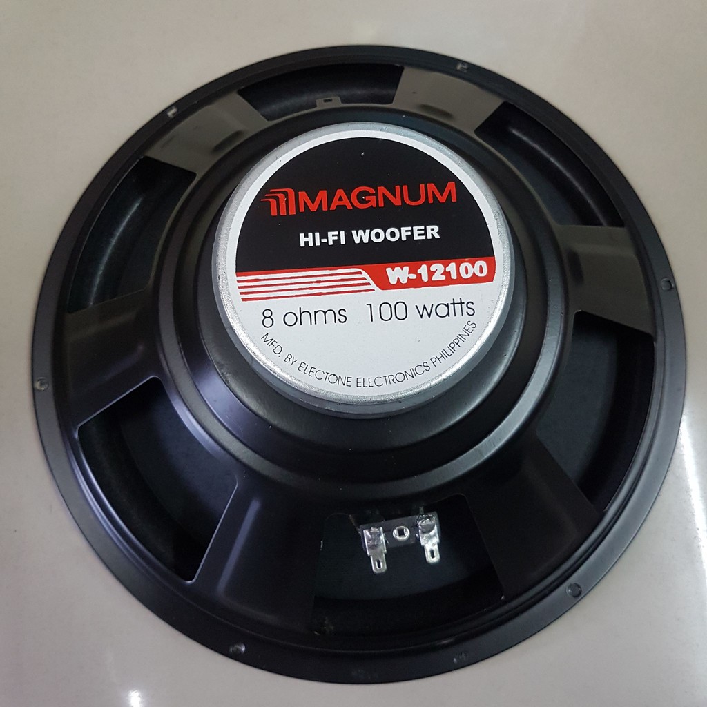 100 watt 12 inch speaker