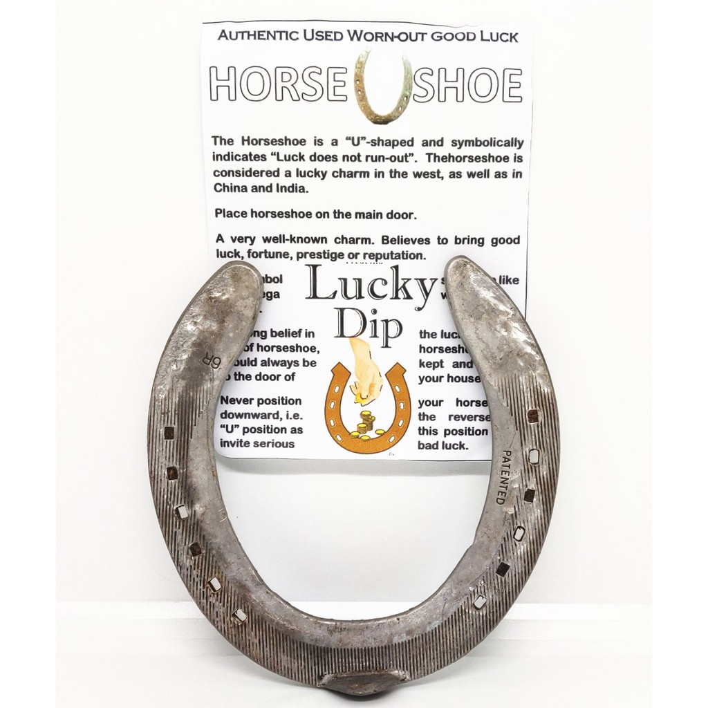 Feng Shui Authentic Used Good Luck Horseshoe Shopee Philippines