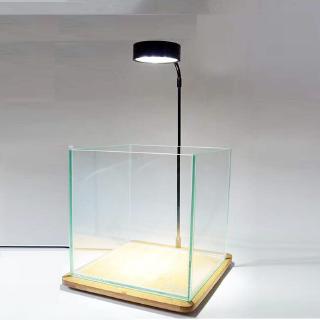 New Arrivals*7W LED Light Stand with Wooden Base for Indoor Potted Succulent Plant Display, Wabi Kus