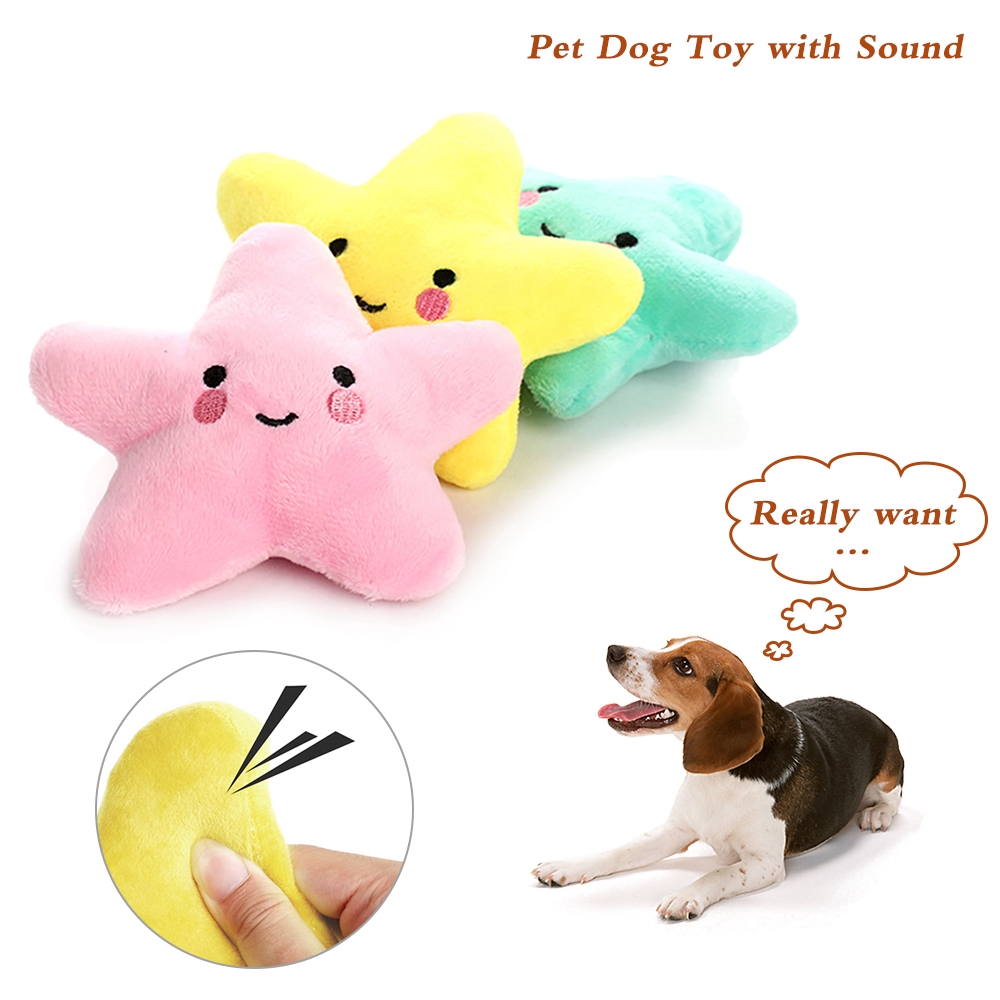 toy pet dog