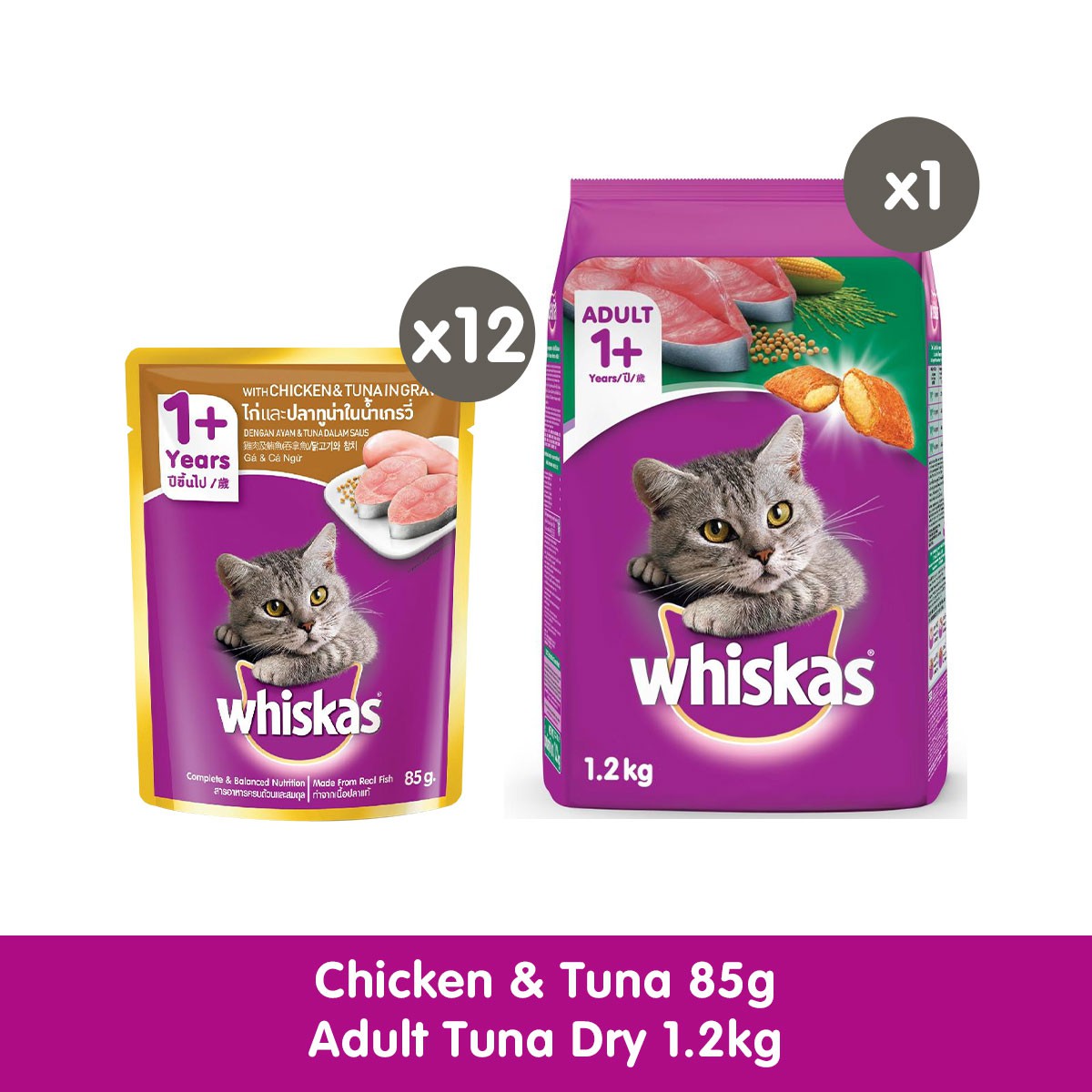 whiskas 40 pack