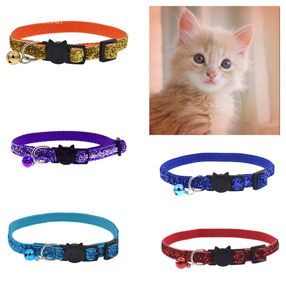 cat collars near me