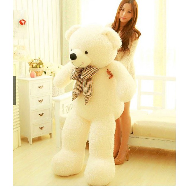 4 feet pink teddy bear