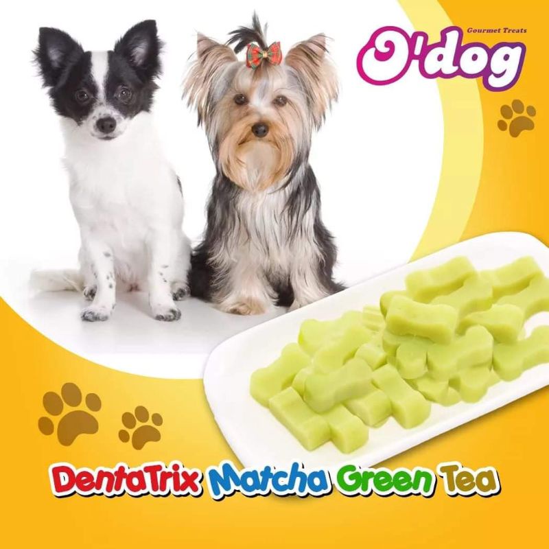 O'Dog Dentatrix Matcha Green Tea (FREEBIE awaits you!!!) Shopee